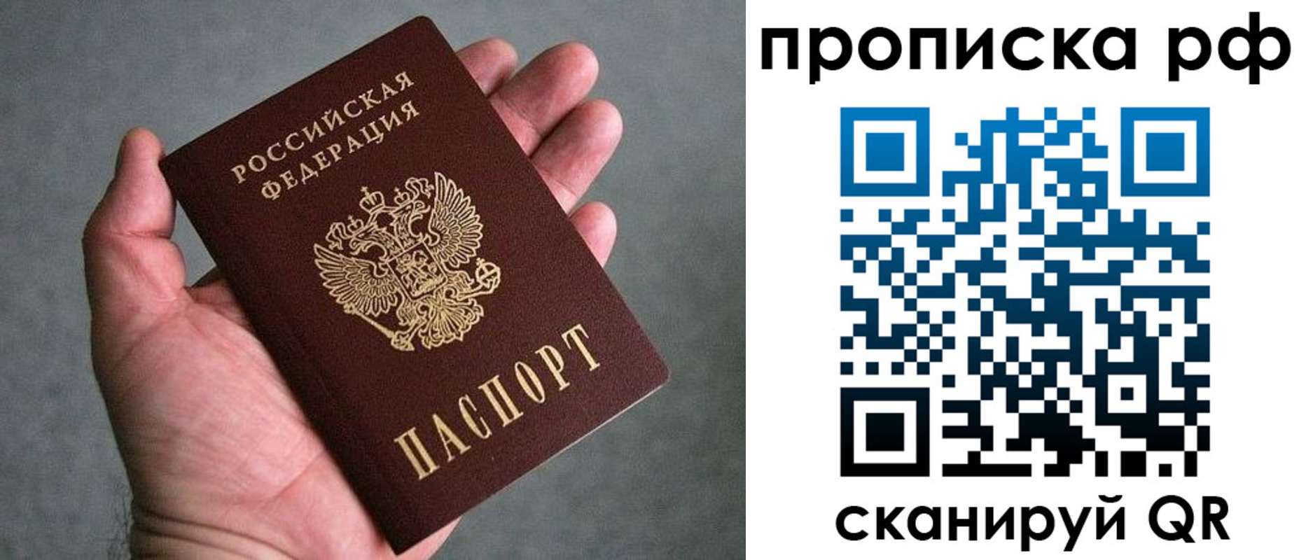 прописка поиск в Краснозаводске